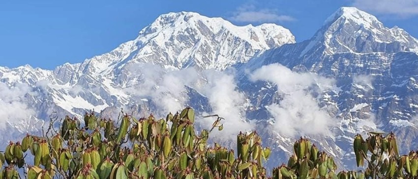 Ghorepani Poon Hill and Mardi Himal Trek